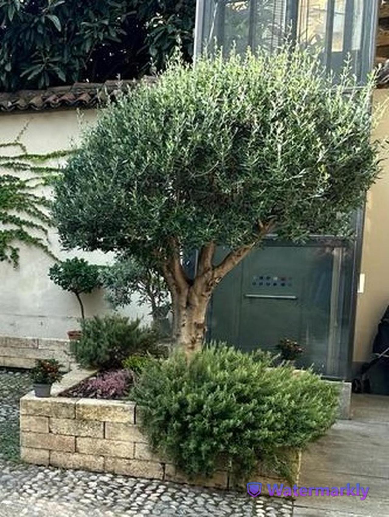 Le Tre Ca', Ca' Cecilia, Ca' Nina, Ca' Vittoria Apartman Asti Kültér fotó